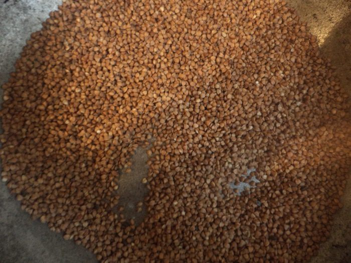 Гречневая каша с брокколи, морковью и сельдереем