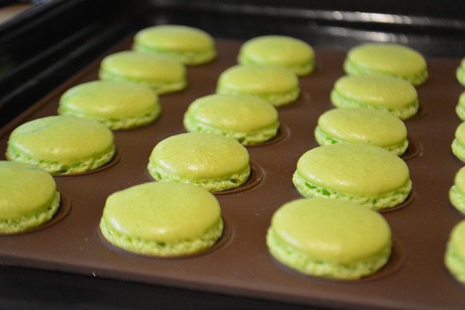 Фисташковый Macarons