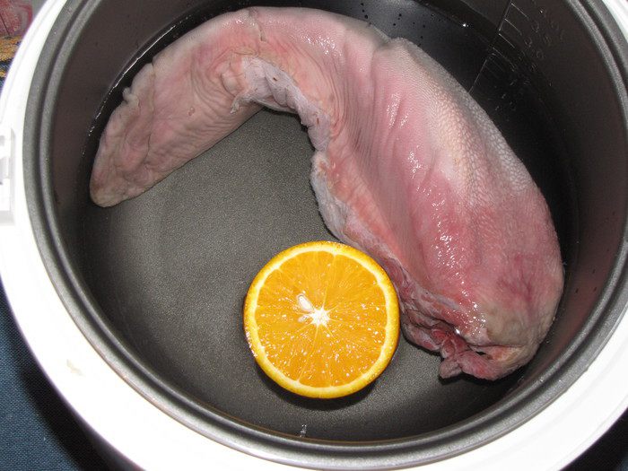 Террин из языка