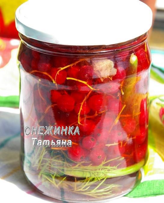 Консервированная красная смородина
