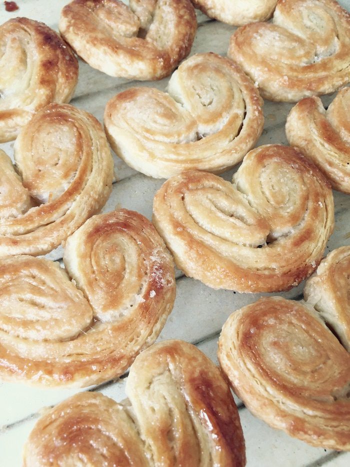Ушки Мамонтенка (Palmier)